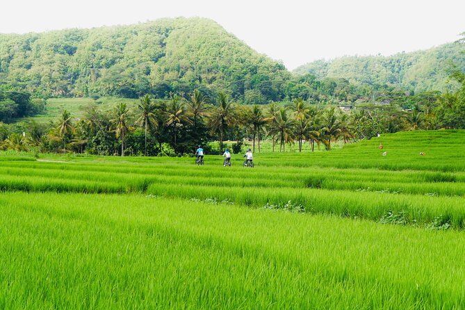 Nanggulan - Village Fun Cycling