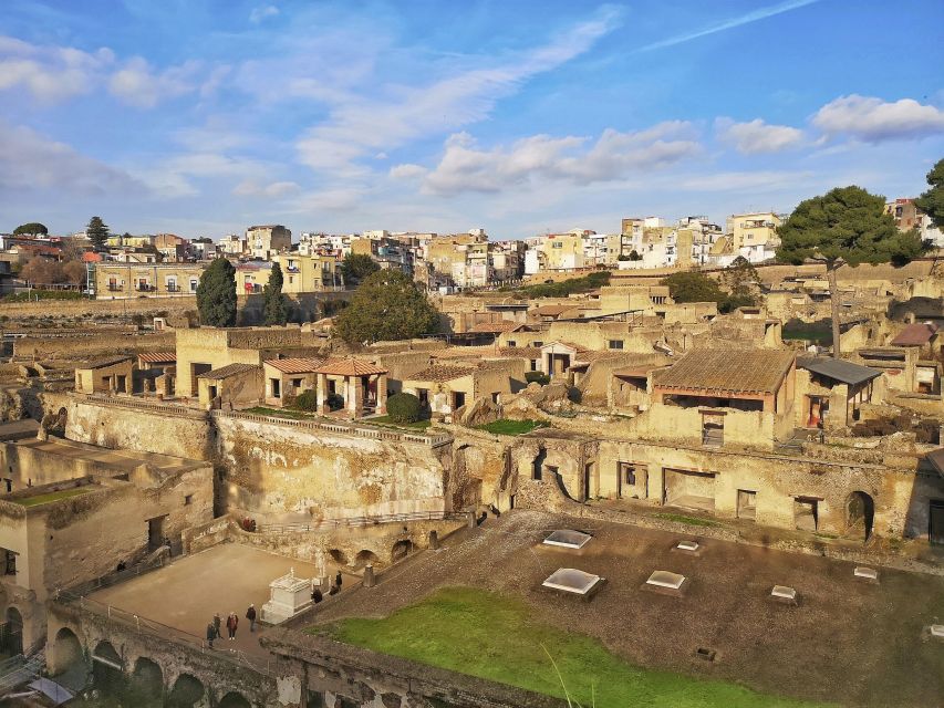 Naples: Skip-the-line Herculaneum and Vesuvius Day Trip - Overview of the Tour