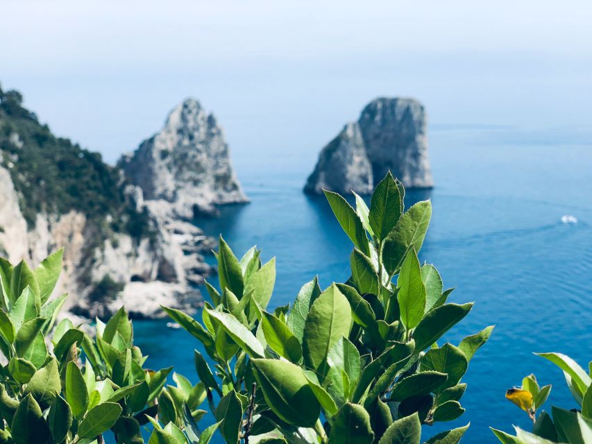 Naples: Small Group Capri and Anacapri With Ferry Tickets