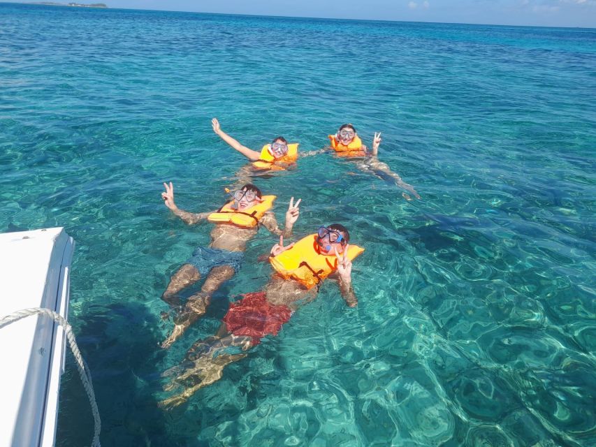 Nassau: Swimming Pigs Private Boat Tour – Up to 7 Persons