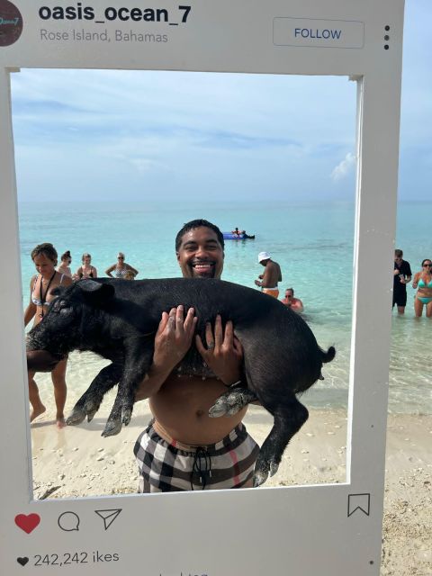 Nassau: Swimming Pigs, Turtle Viewing, Snorkeling, and Lunch