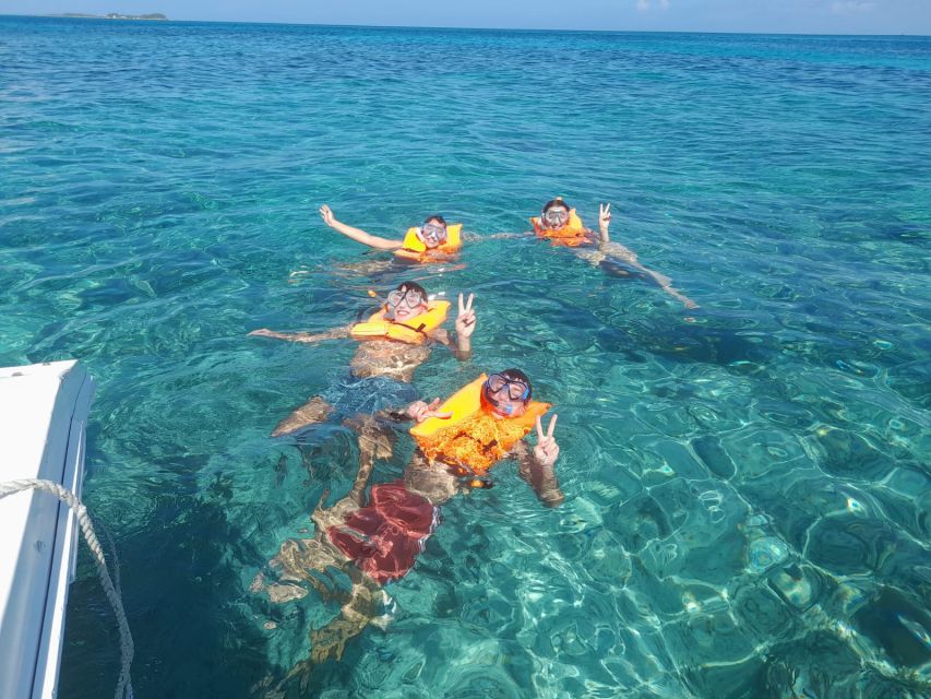 Nassau: Swimming With Pigs, Snorkeling, and Sightseeing Tour