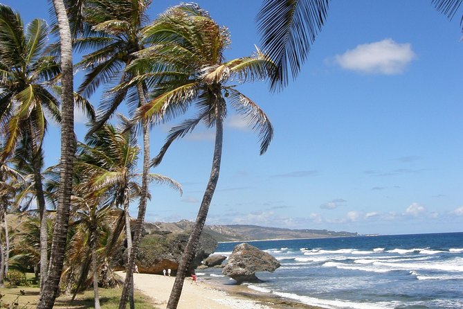 Natural Wonders of Barbados Small-Group or Private Tour With Harrisons Cave