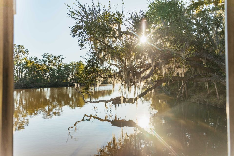 New Orleans: Guided Swamp Cruise by Tour Boat