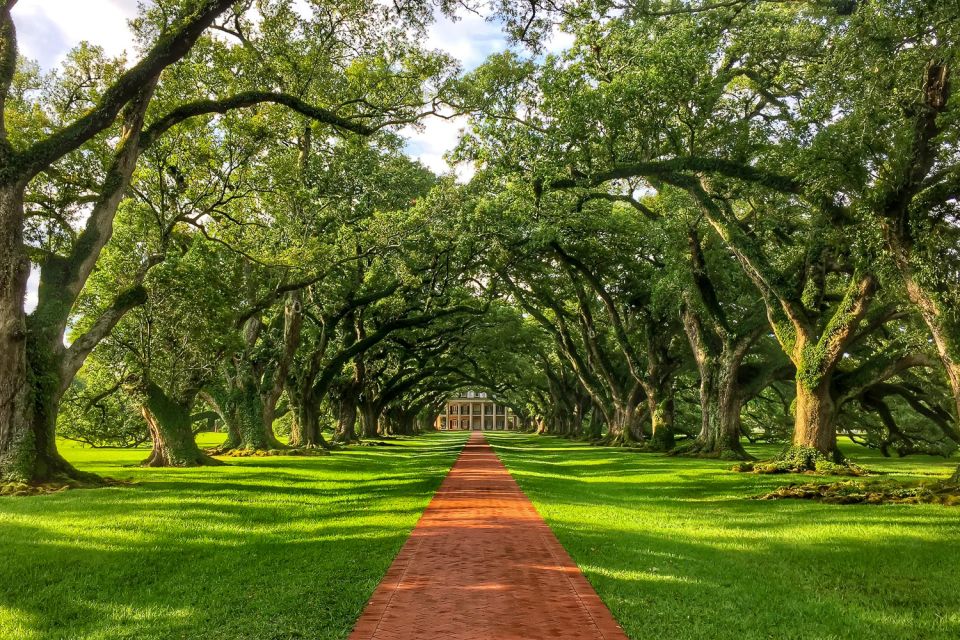 New Orleans: Oak Alley Plantation Tour With Transportation