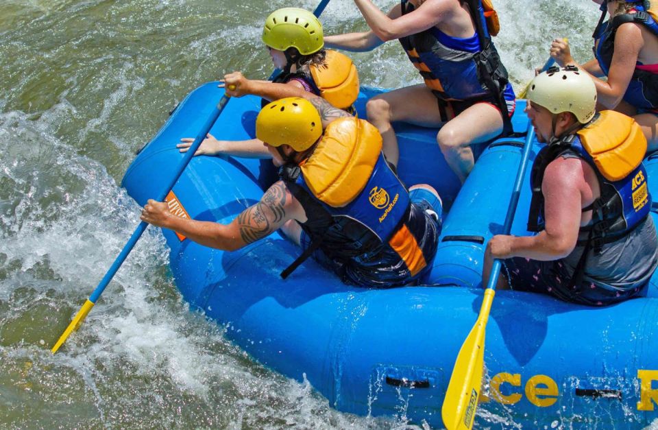 New River Gorge Whitewater Rafting – Lower New Full Day