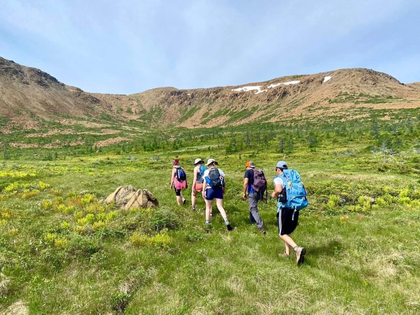 Newfoundland: Blow Me Down Mountains Half Day Hiking Tour