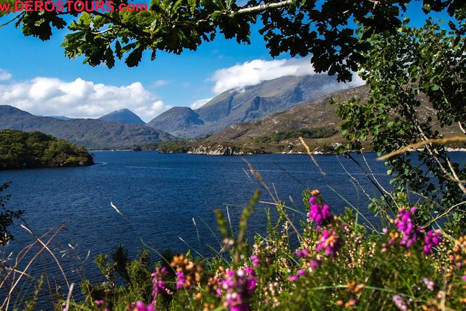 NO 1 Ring of Kerry Tour Inc Killarney Lakes & National Park - Highlights and Attractions