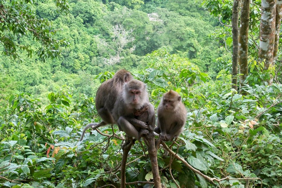 North Lombok Exploration - Tour Details