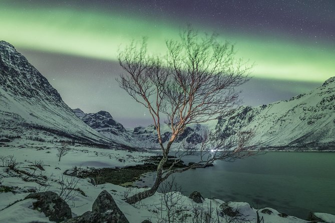 Northern Lights Private Tour With Your Special Ones – Greenlander