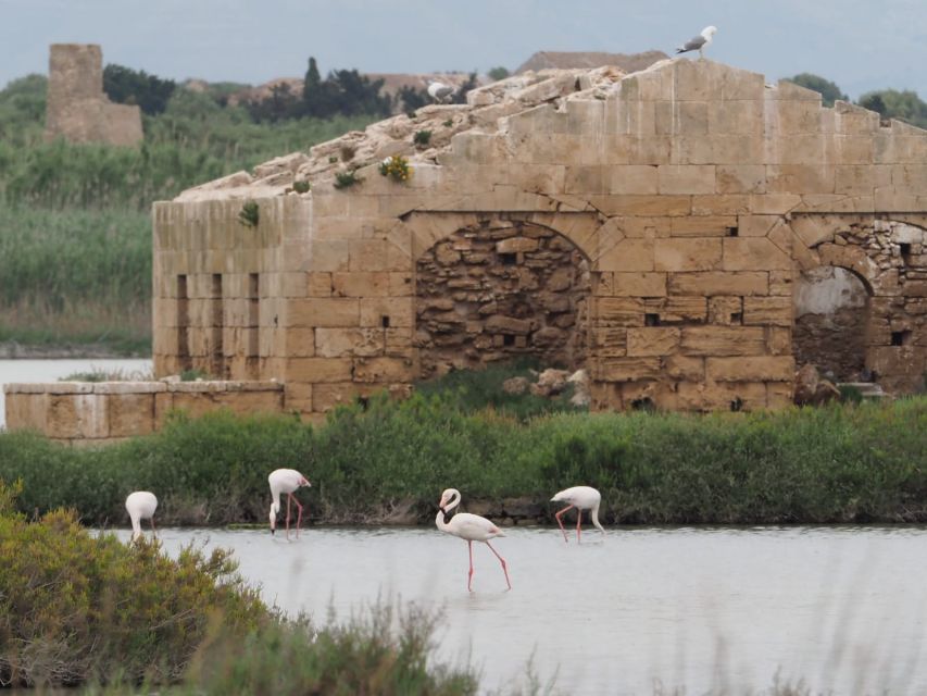 Noto: Guided Trekking and Birdwatching at Vendicari Reserve