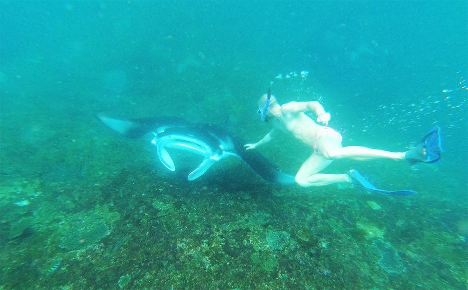 Nusa Penida: 4 Spot Snorkeling and Land Tour