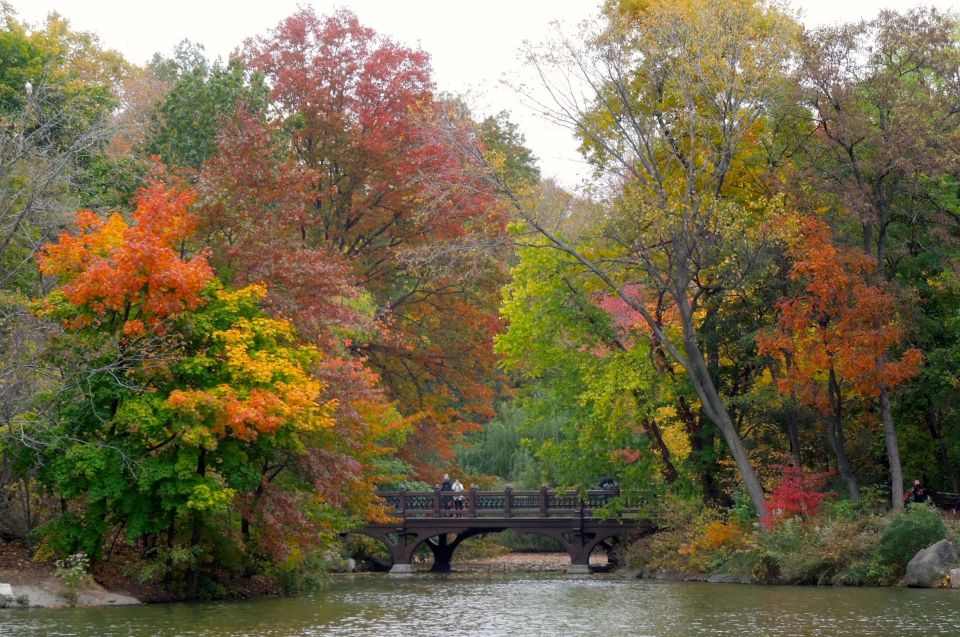 NYC: Central Park Hidden Gems Walking Tour