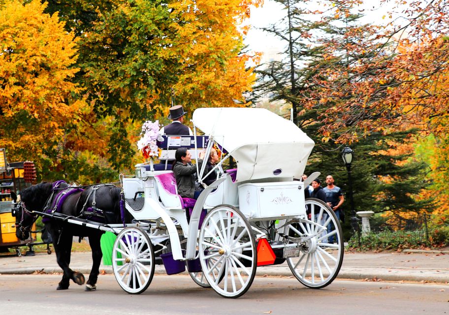 NYC: Central Park Horse-Drawn Carriage Ride (up to 4 Adults) - Tour Details