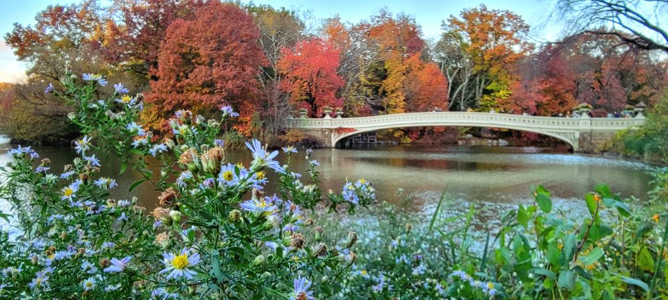 NYC: Central Park Secrets and Highlights Walking Tour - Scenic Spots and Statues