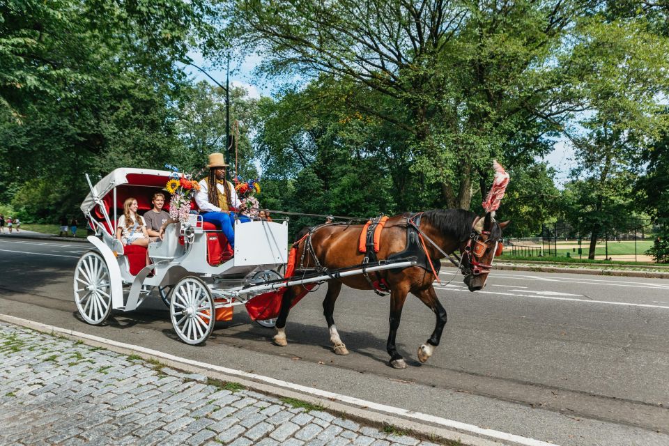 NYC MAGICAL NIGHT TIME RIDE Central Park/Rockefeller Center - Activity Details