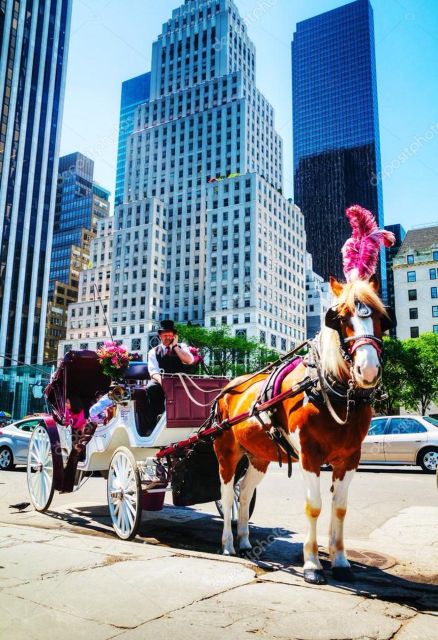 NYC:Guided Central Park Horse Carriage Ride