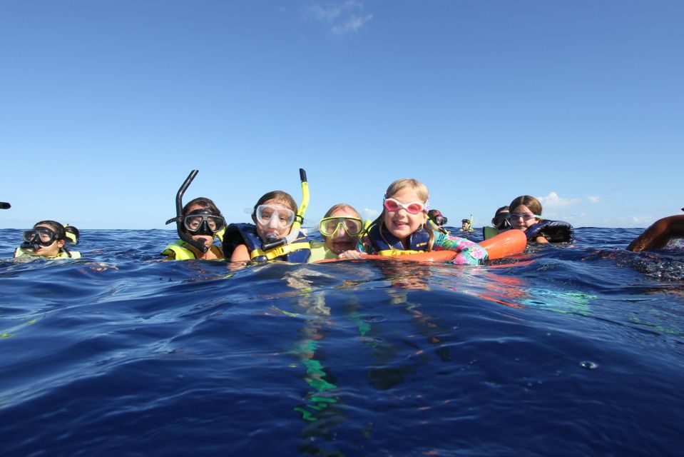 Oahu: Dolphin Swim and Snorkeling Speedboat Tour