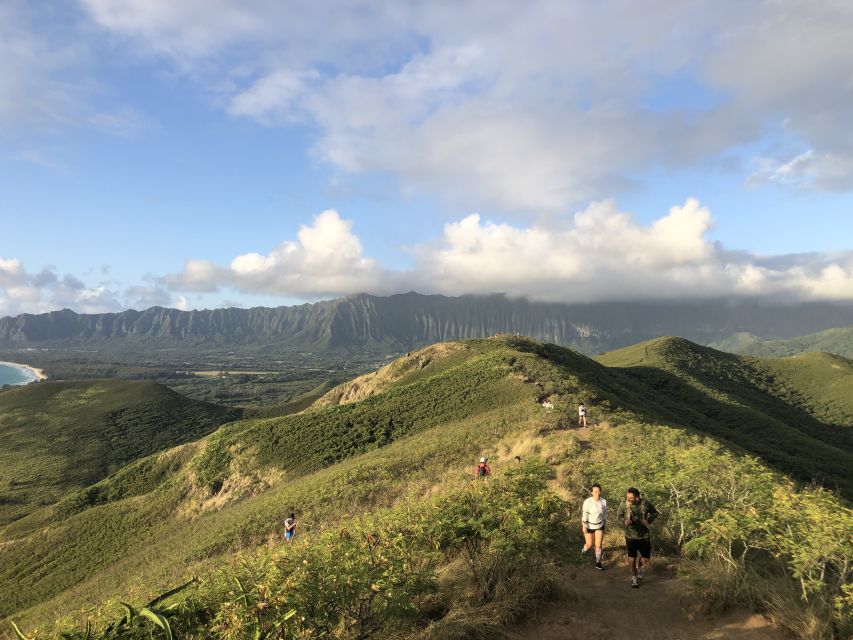 Oahu: Manoa Falls Hike and East Side Beach Day - Tour Highlights