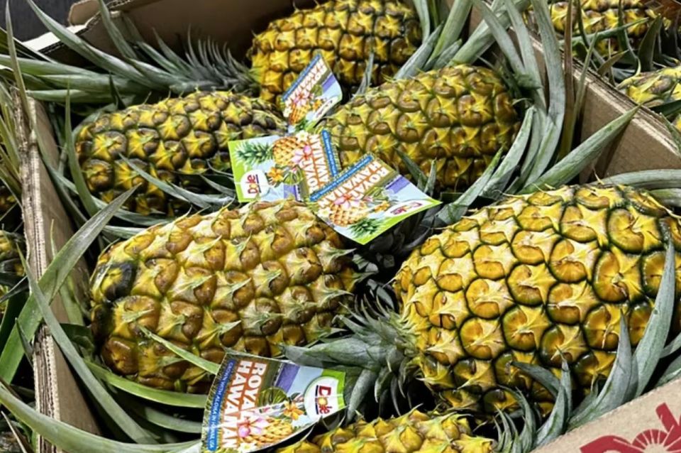 pineapple farm tour oahu