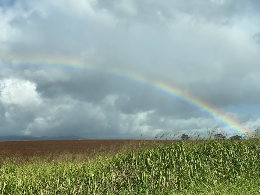 Oahu: Private Full-Day Foodie & Sightseeing Tour