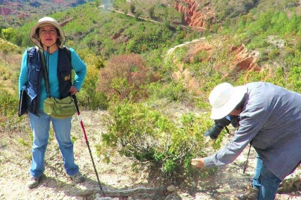 Oaxaca: Geopark Exploration Tour - Tour Overview