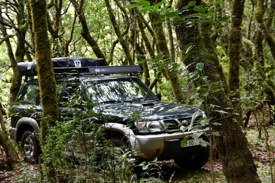 Off Road Experience- Drive a off Road Car on the Mountains - Exploring Madeiras Rugged Terrain