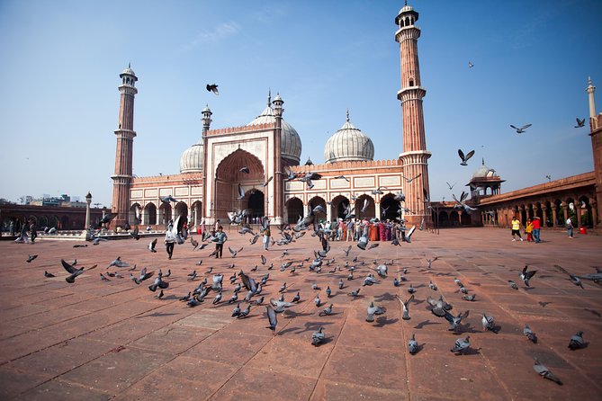 Old Delhi 3 Hour Tuk-Tuk/Rickshaw Tour