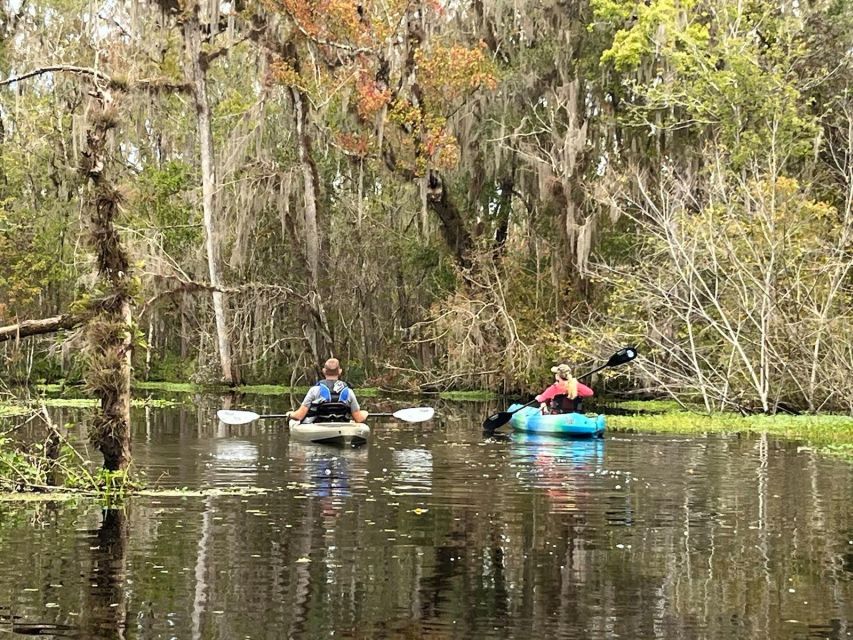 Old Florida Backwater Kayak Adventure Near St. Augustine