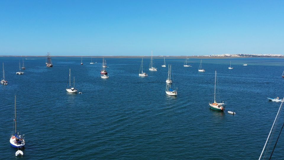 Olhão: Ria Formosa Boat Cruise to Armona and Culatra