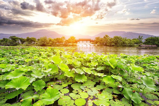 One-Day Hangzhou Dragon Well Tea Culture & West Lake Private Tour - Tour Overview