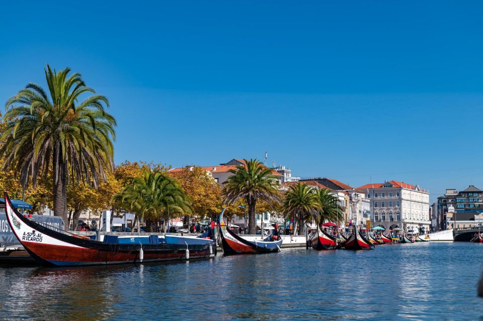 One-Day Tour of Aveiro / Coimbra - Tour Details