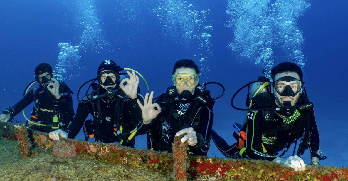 Open Water PADI Diver Course in Cozumel