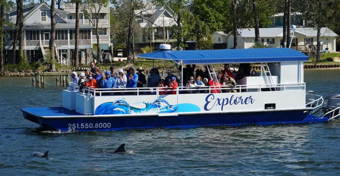 Orange Beach: Dolphin-Watching Eco-Boat Tour