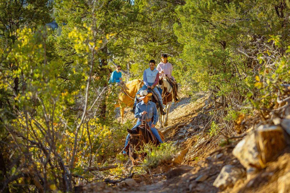 Orderville: Checkerboard Evening Shadow Horseback Ride