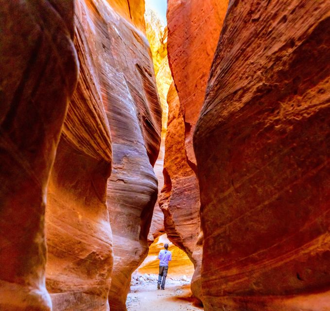 Orderville: East Zion Park White Mountain Horseback Tour