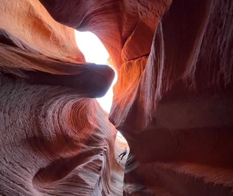 Orderville: Rappelling Slot Canyon and UTV Tour