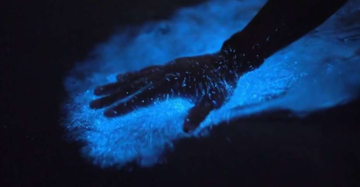 Orlando: Bioluminescence Kayak and Swim Adventure