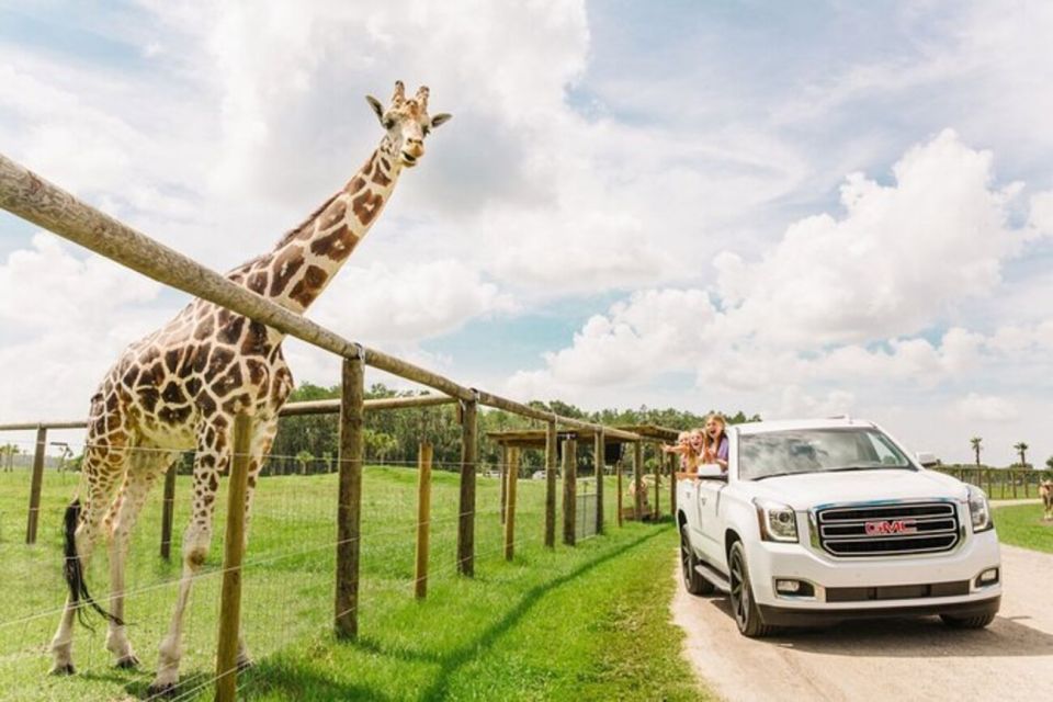 Orlando: Drive-Thru Safari Park at Wild Florida