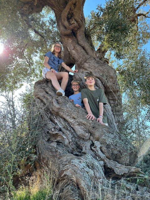 Ostuni E-Bike Tour. the Olive Trees and a Local Oil Mill