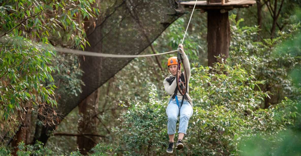 Ourimbah: Central Coast Treetops Adventure Tree Ropes Course - Location and Pricing