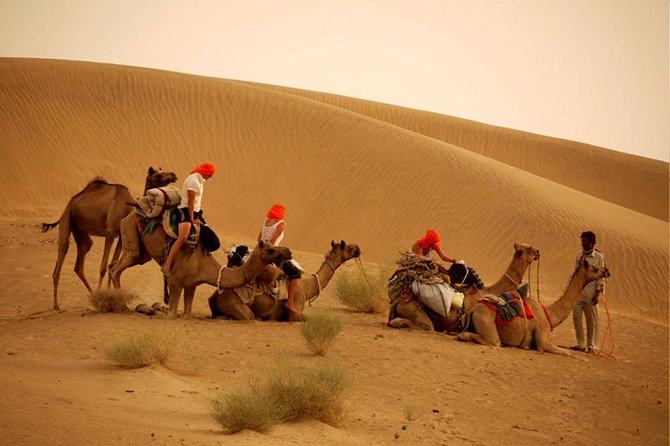 Overnight Camel Safari at Non-Touristic Route