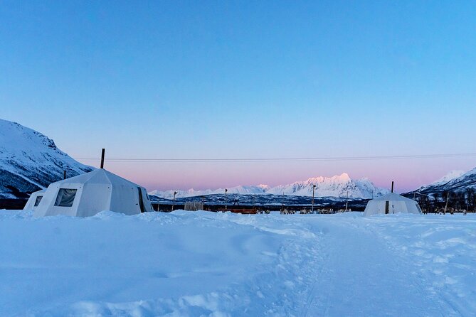 Overnight Stay With Reindeer Sledding & Feeding