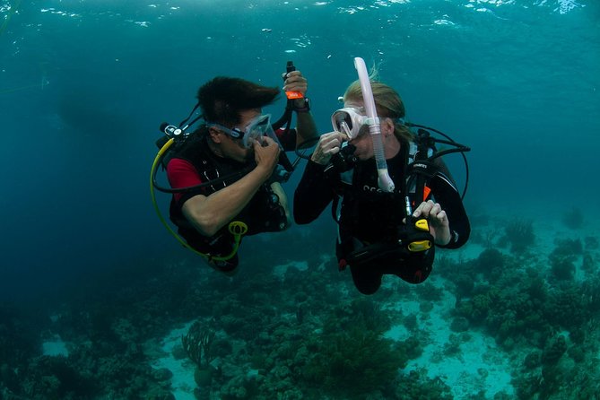 PADI Scuba Diver Course