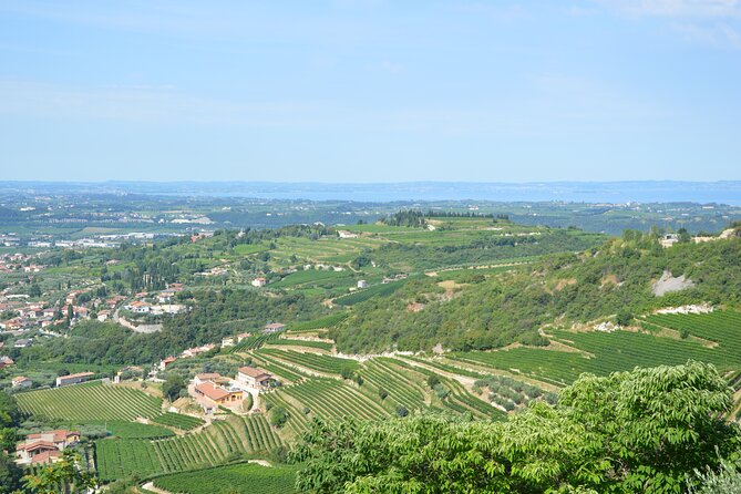 Pagus Wine Tours® – a Taste of Valpolicella – Half Day Wine Tour
