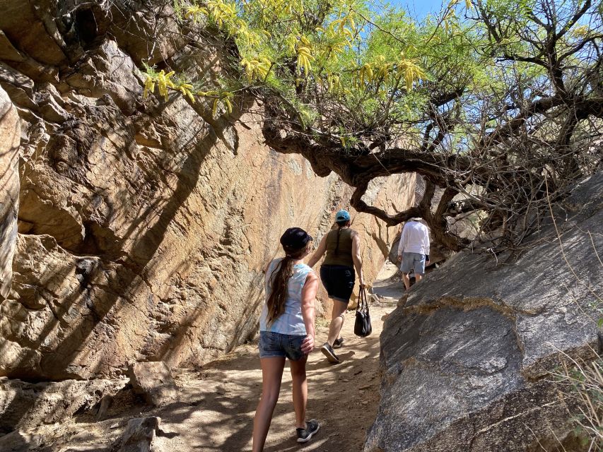 Palm Springs: Indian Canyons Hiking Tour by Jeep