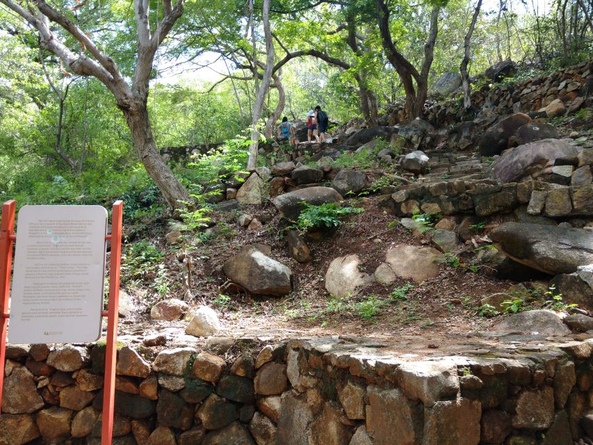 .Palma Sola Archaeological Zone and Market Visit With Lunch - Venture Into the Acapulco Municipal Market