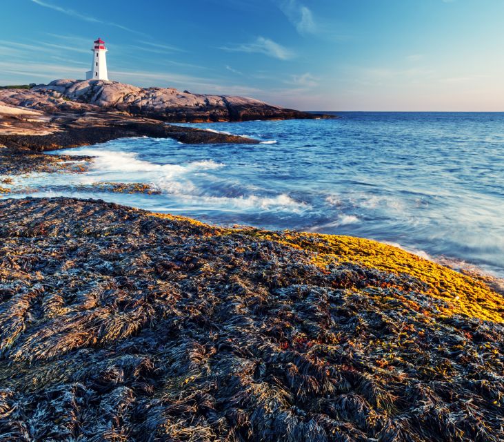 Peggys Cove: Half-Day Private Tour From Halifax