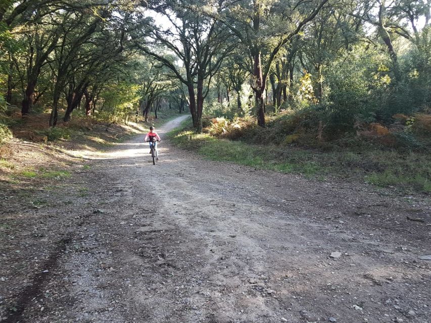 Peneda Gerês National Park: Self-Guided Electric Bike Tour