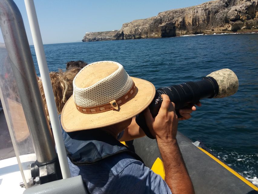 Peniche: Dolphin Route Boat Trip